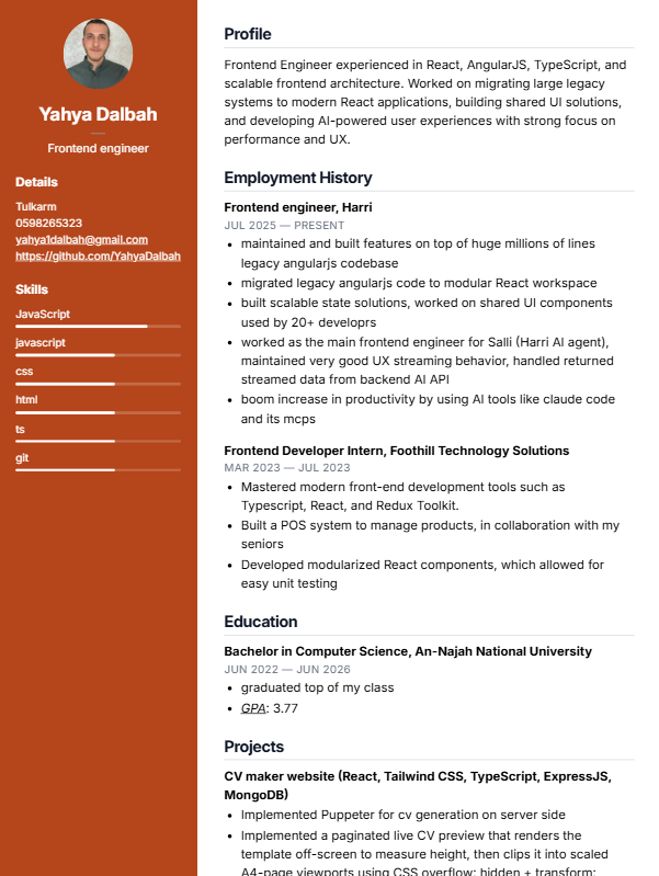 Professional CV template